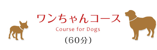 ワンちゃんコース（60分）