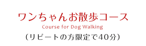ワンちゃんお散歩コース（リピートの方限定で40分）