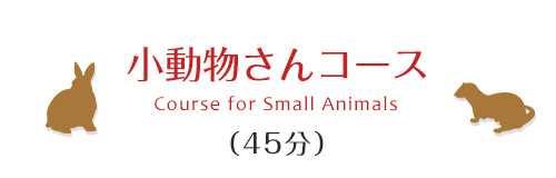 小動物さんコース（45分）