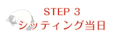 ③シッティング当日