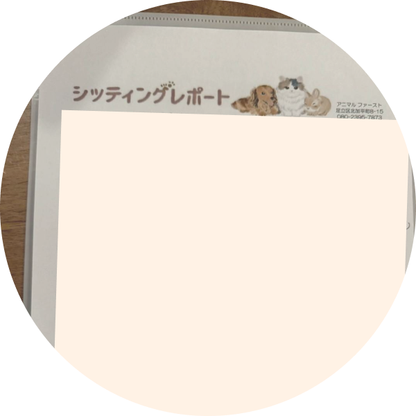 レポートの写真