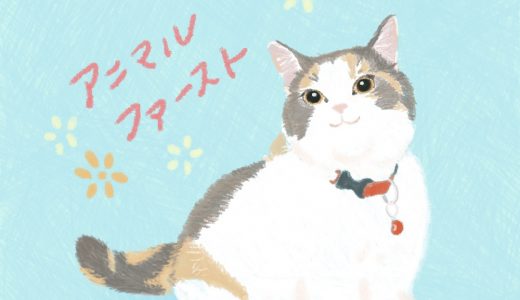 ✨お客様の声✨シロくん😸