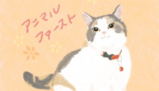 ✨お客様の声✨うにくん&さわらちゃん😸😸